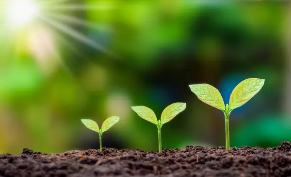 Agriscience and Technology Careers